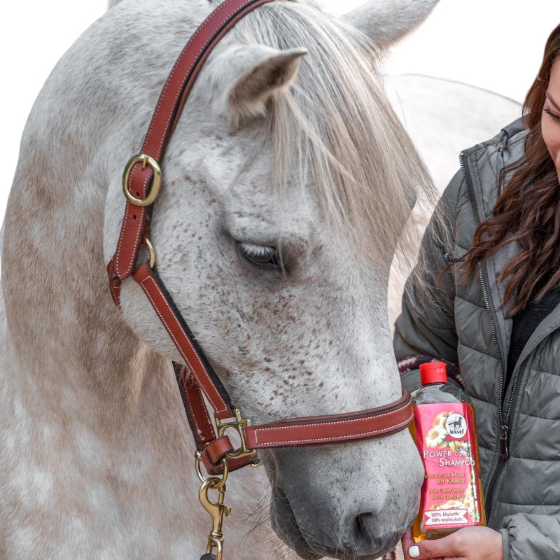 Leovet - Shampoing anti-UV à la camomille | - Ohlala