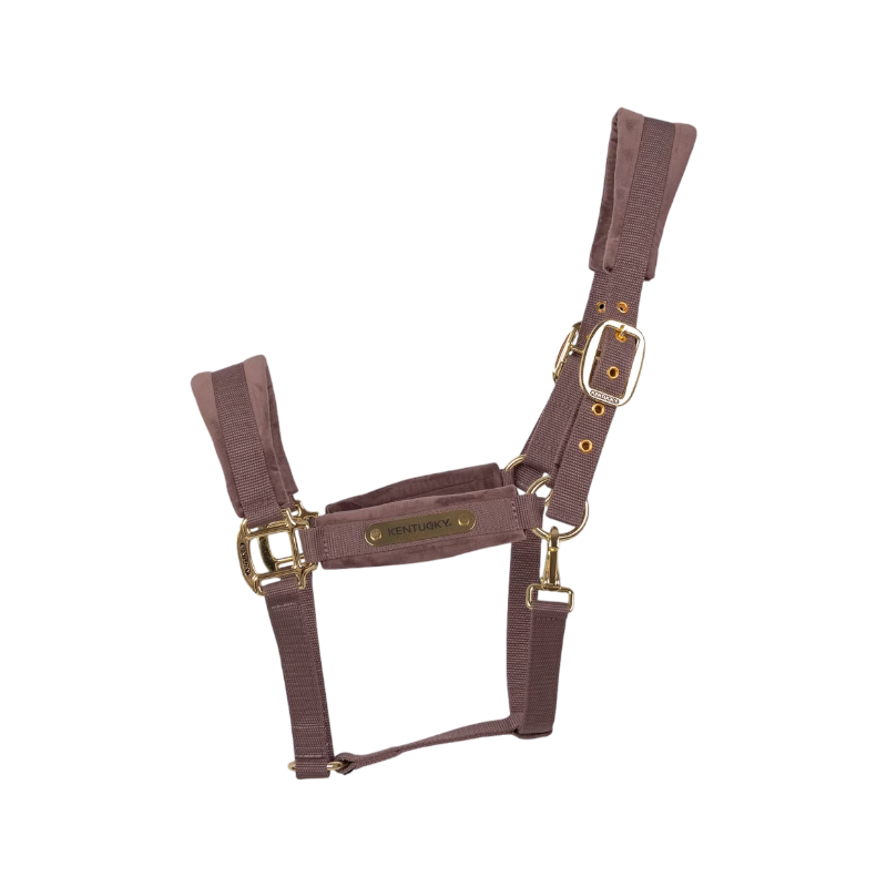 Kentucky Horsewear - Velvet halster lichtpaars | - Ohlala