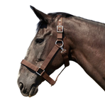 Norton - Licol cheval de trait brun | - Ohlala