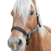 Norton - Licol cheval de trait noir | - Ohlala