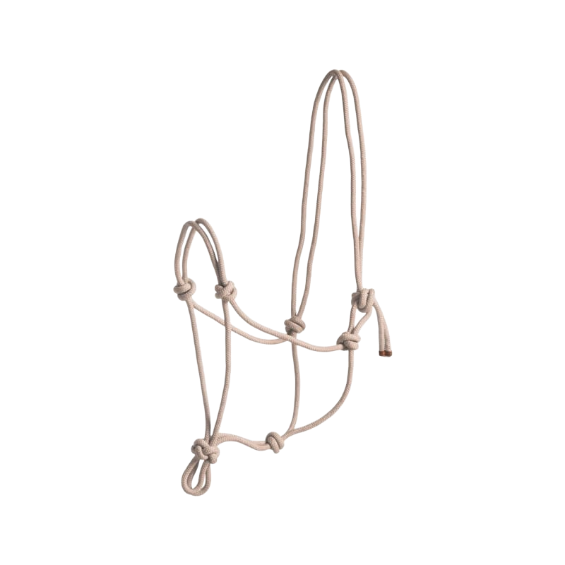 Norton - Licol corde First beige | - Ohlala