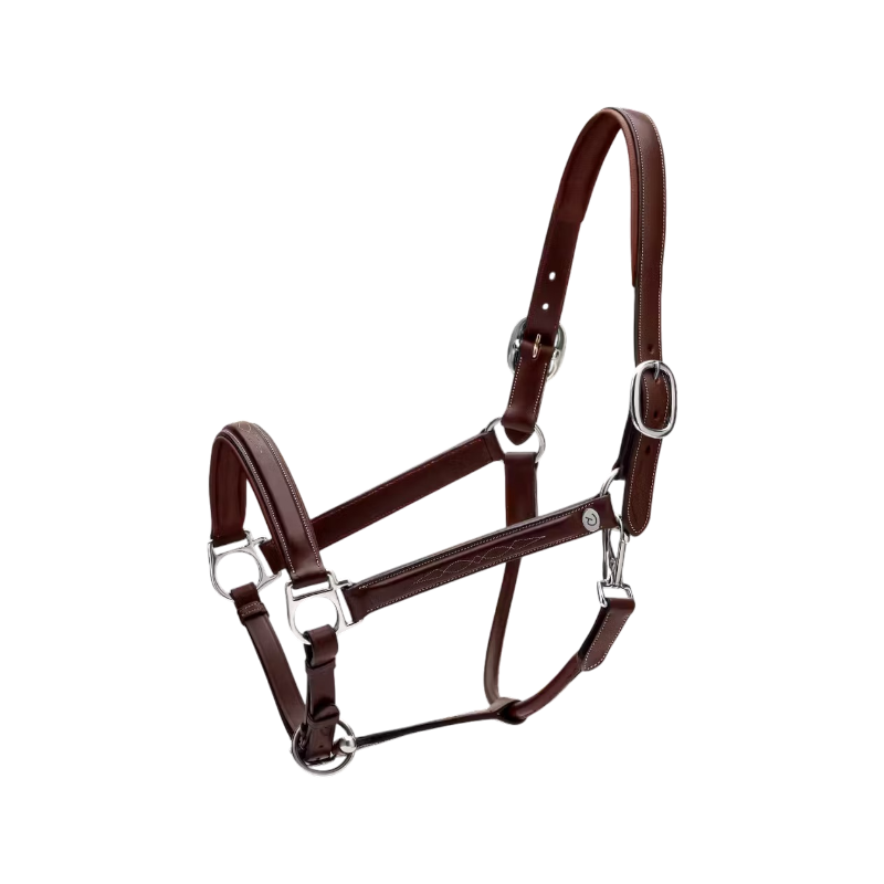 Dyon - Licol cuir Fancy Working Collection marron | - Ohlala