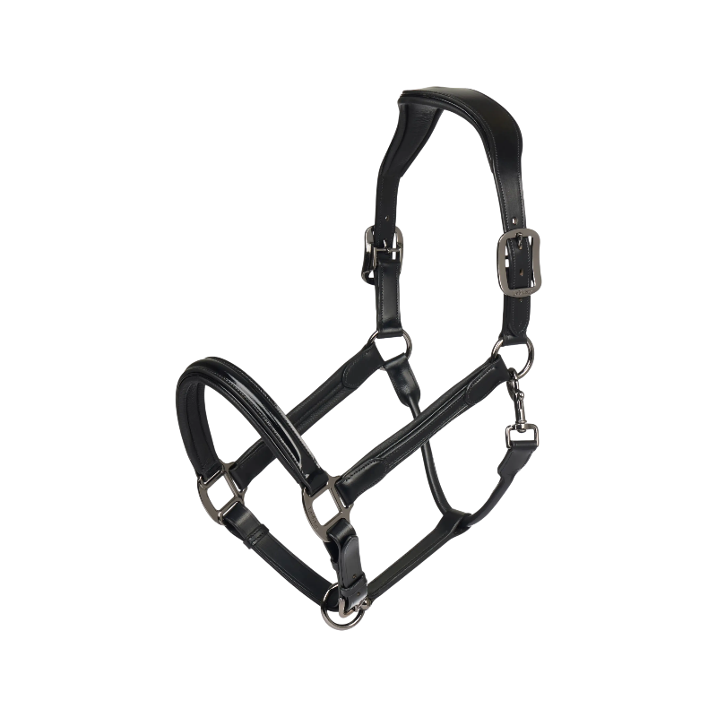 LeMieux - Licol en cuir Verni noir