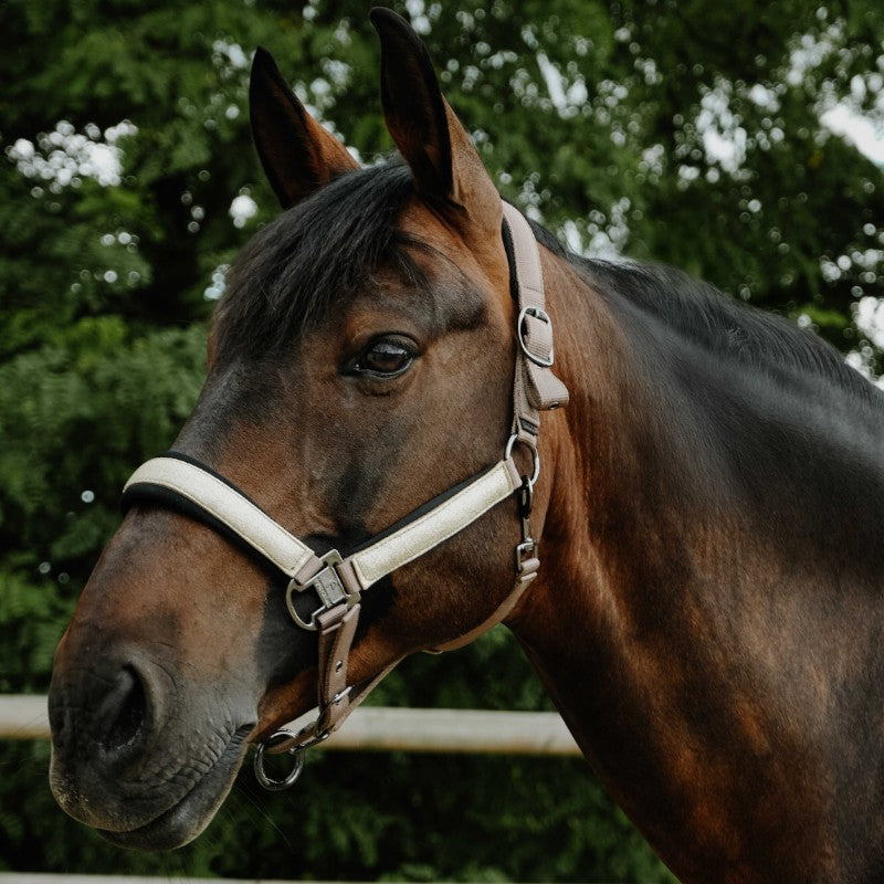 Equithème - Licol en nylon Glowy beige/ doré