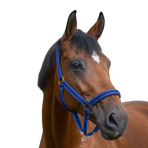 Norton - Nylon halster gevoerd met neopreen blauw/zwart | - Ohlala