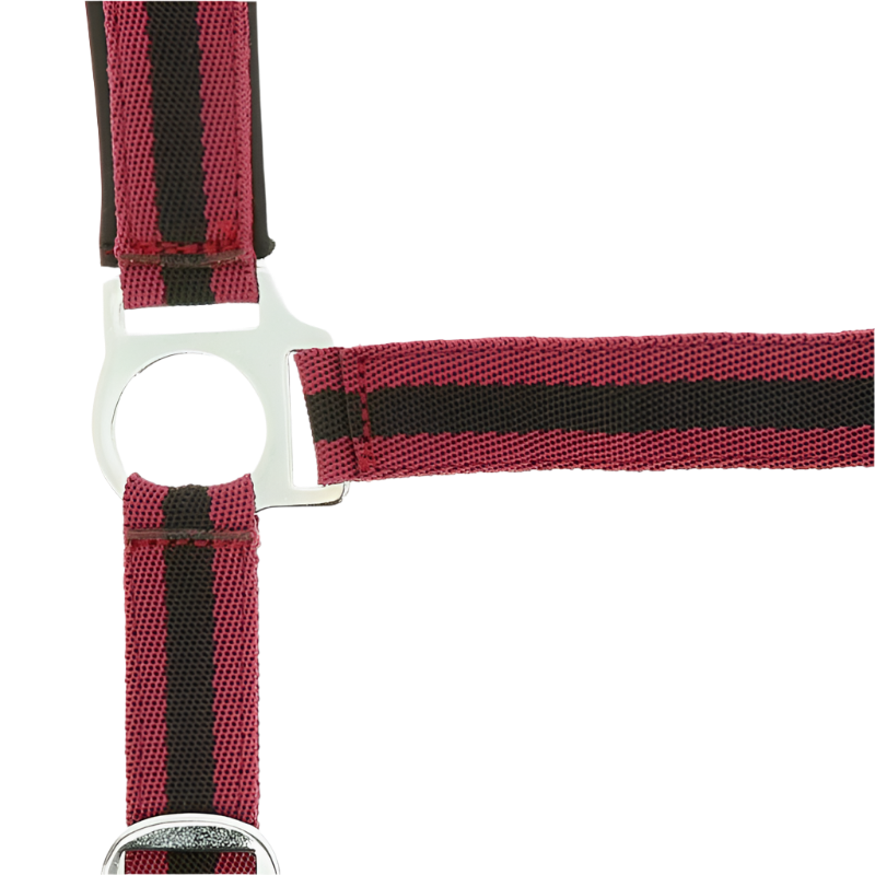 Norton - Licol nylon doublé néoprène bordeaux/ noir | - Ohlala