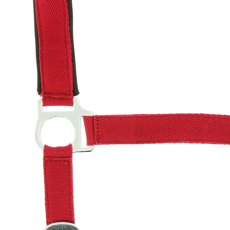 Norton - Licol nylon doublé néoprène rouge | - Ohlala