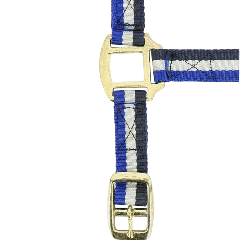 Norton - Licol nylon doublé cuir marine/ blanc/ bleu | - Ohlala