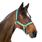 Norton - Nylon halster verstelbare neusriem turquoise | - Ohlala