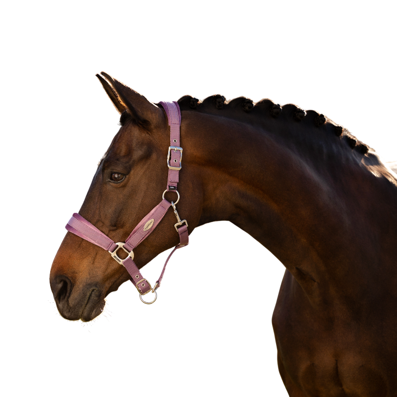 LeMieux - Versailles paardenhalster mallow | - Ohlala