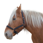 Norton - Licol cheval de trait "PRO" noir | - Ohlala
