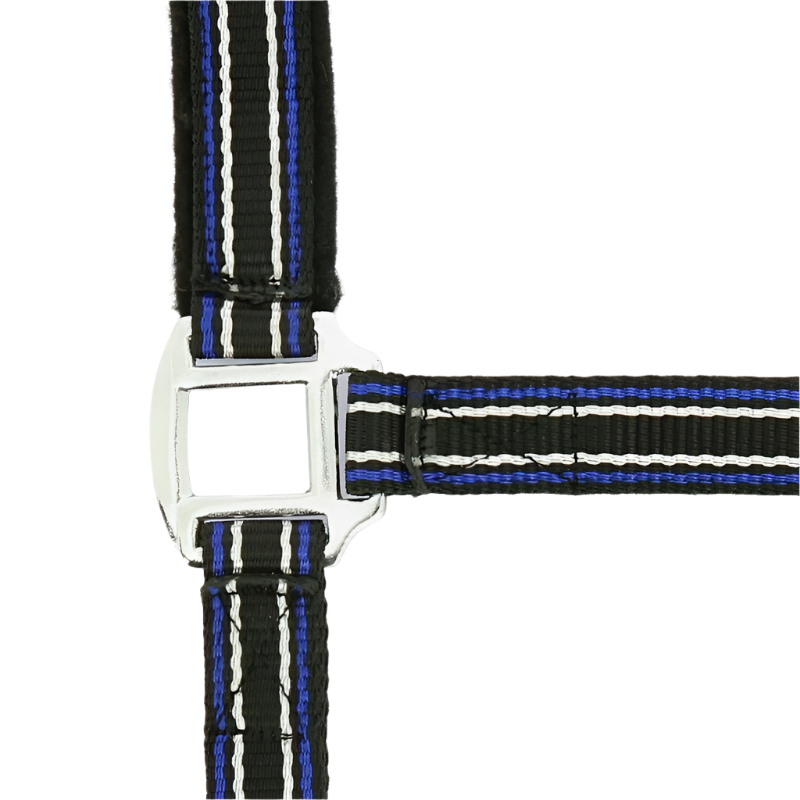 Norton - Licol strong noir/ bleu/ blanc | - Ohlala