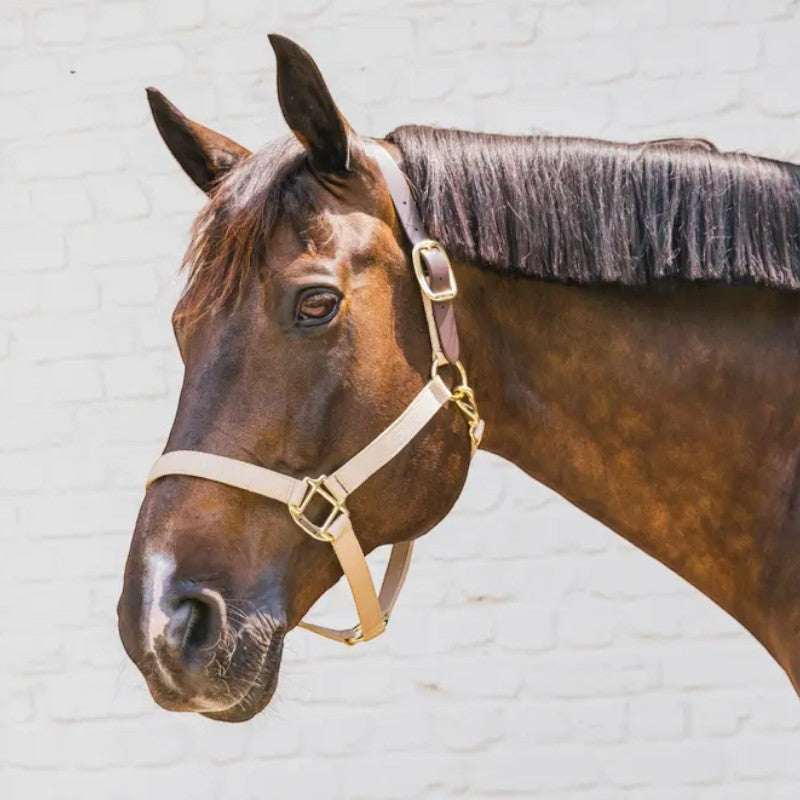 Kentucky Horsewear - Licol nylon Breakaway beige | - Ohlala