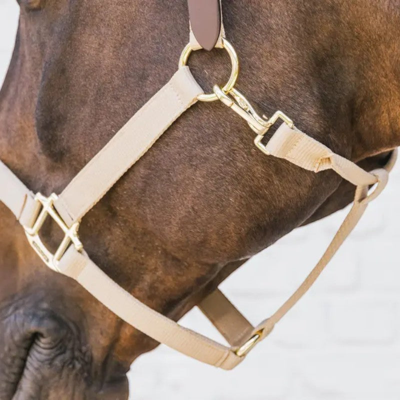 Kentucky Horsewear - Licol nylon Breakaway beige | - Ohlala