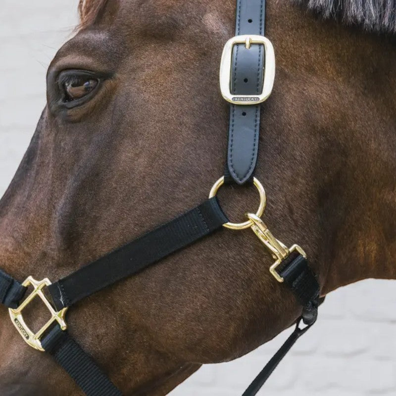 Kentucky Horsewear - Licol nylon Breakaway noir | - Ohlala