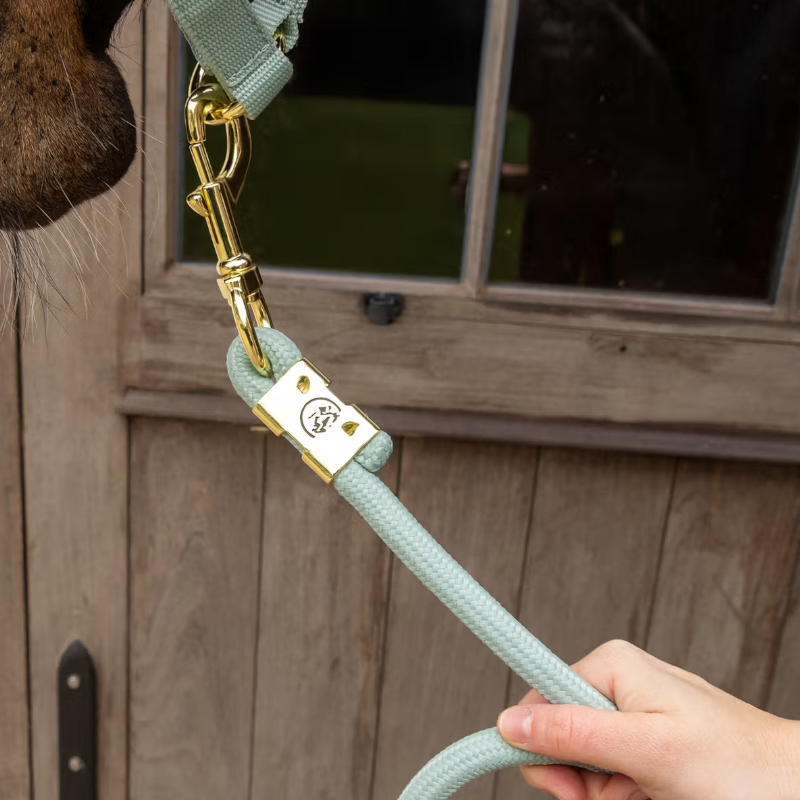 Kentucky Horsewear - Longe Rope Basic mint 2m | - Ohlala