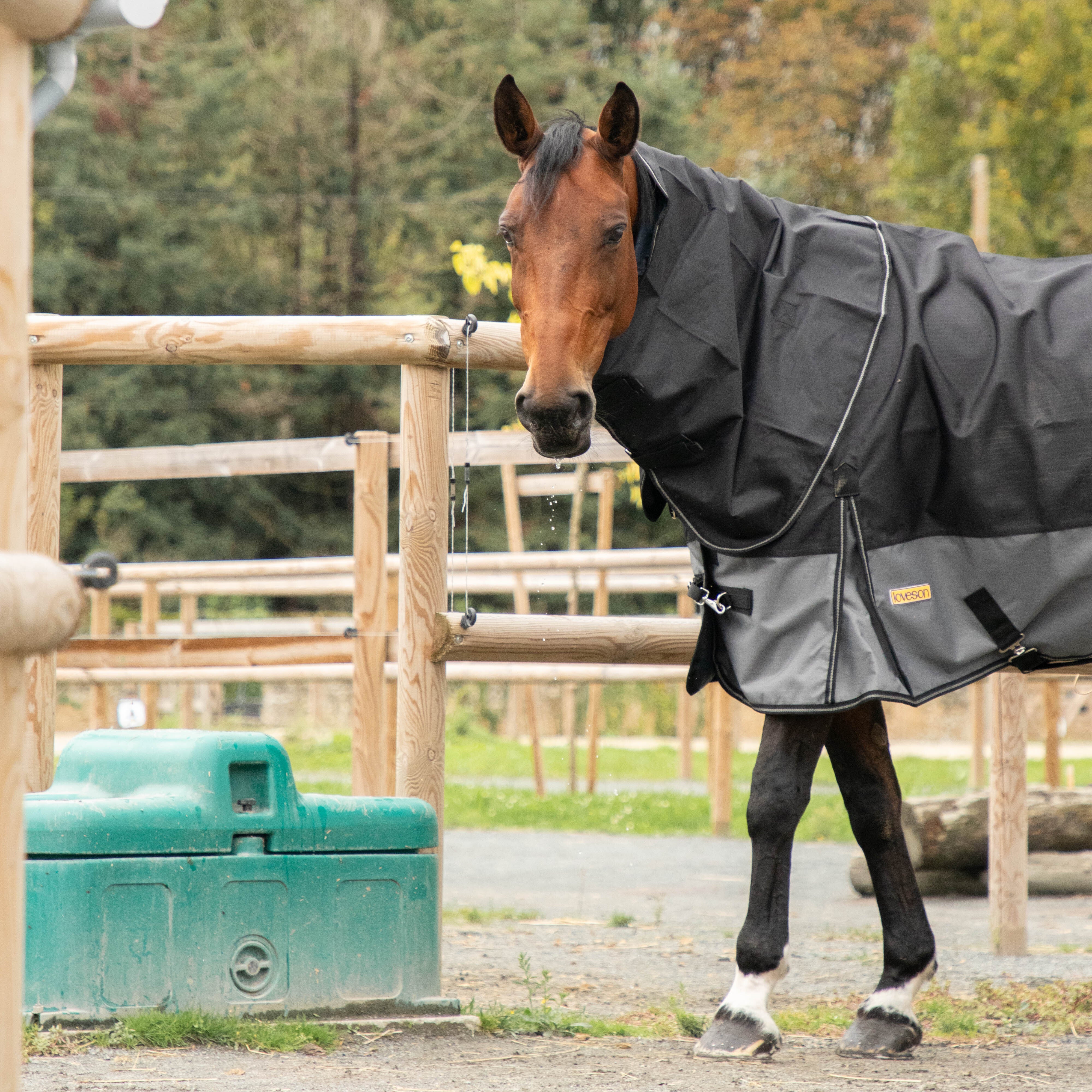 Loveson - Couverture d'extérieur Turnout Plus noir/ gris 300g | - Ohlala