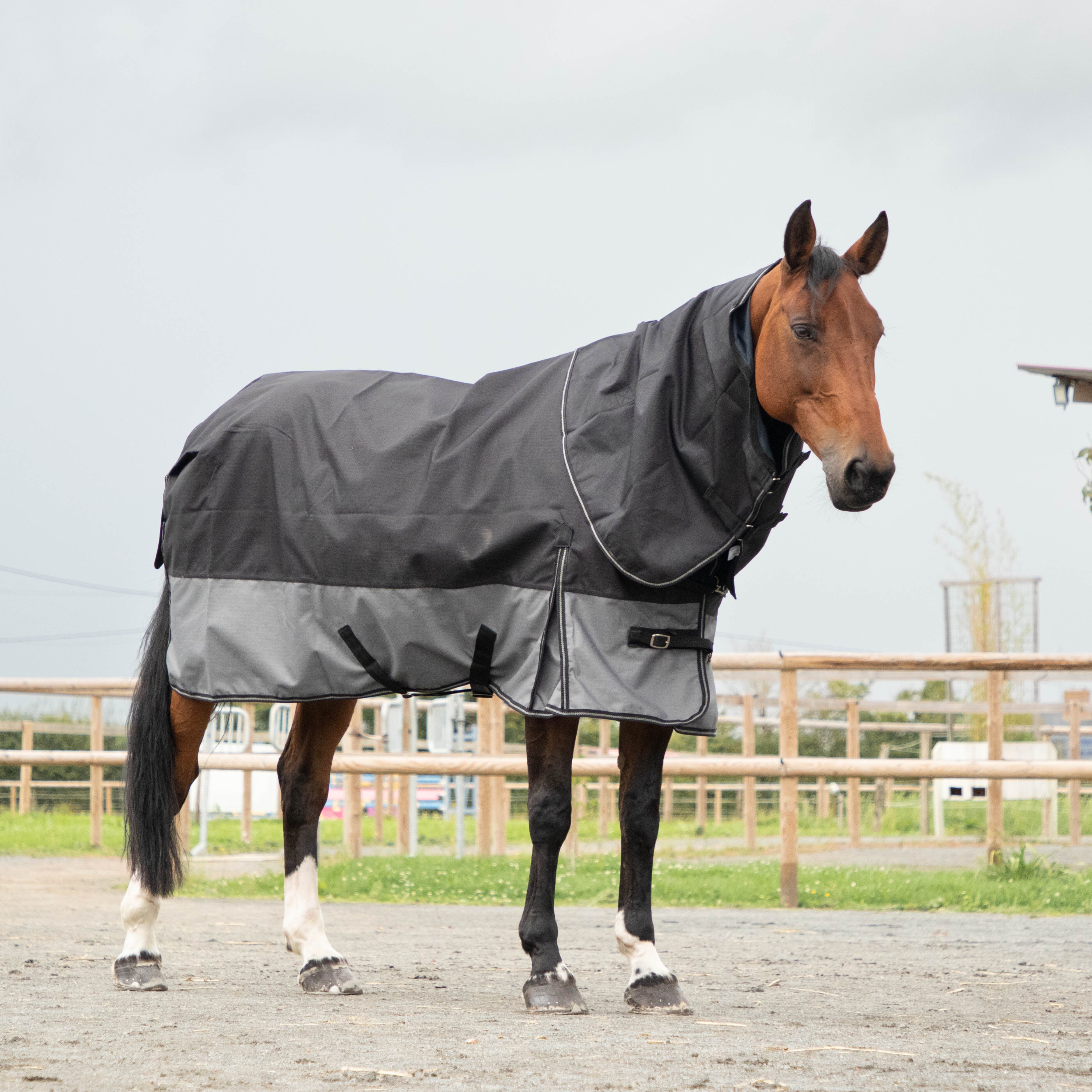 Loveson - Couverture d'extérieur Turnout Plus noir/ gris 300g | - Ohlala