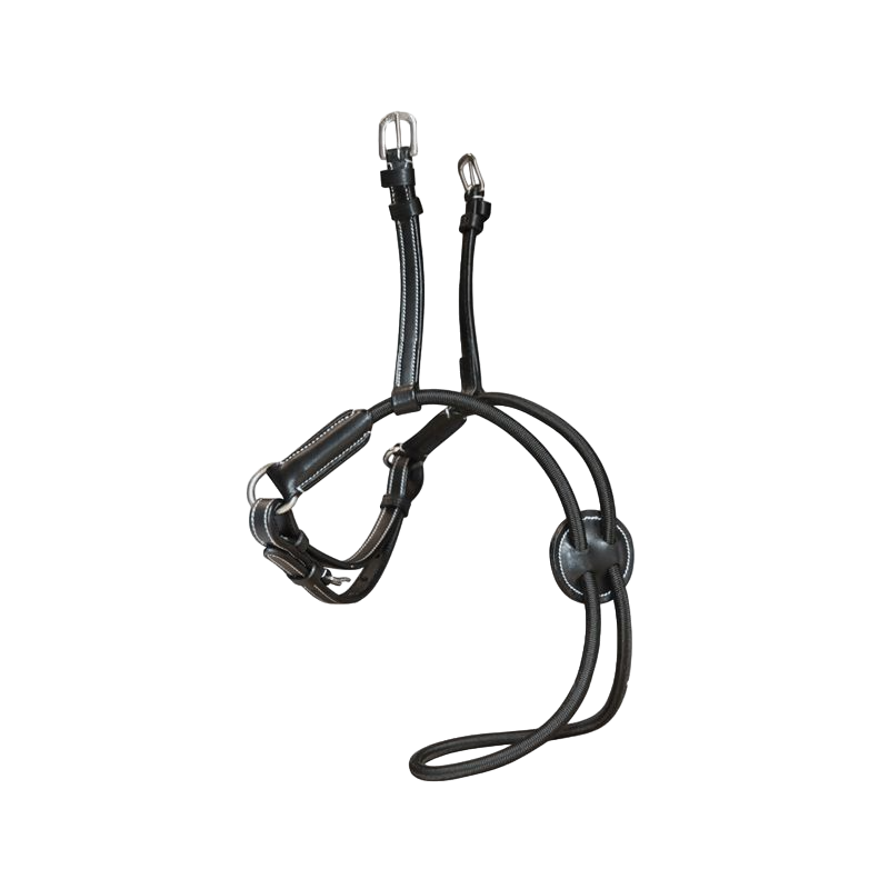 Flags & Cup - Muserolle croisée élastique | - Ohlala