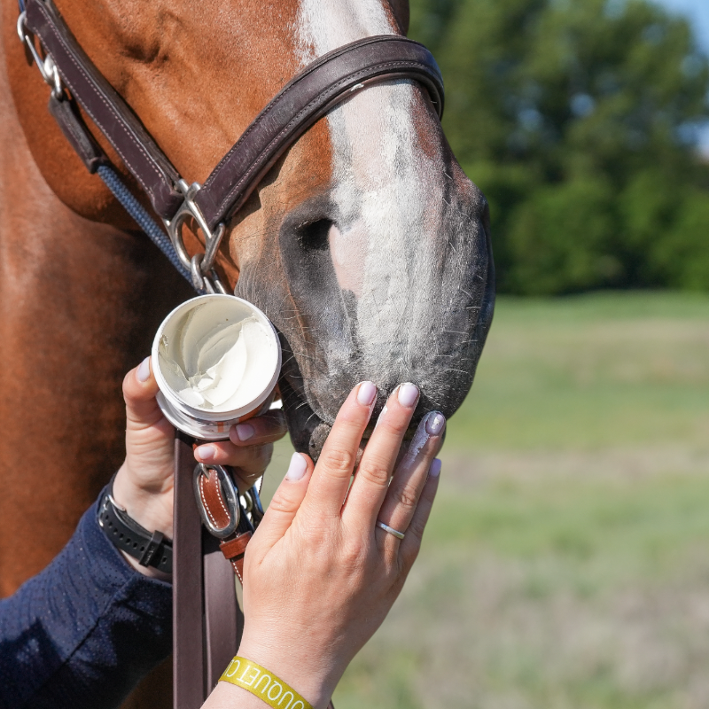 Natural' Innov - Crème solaire pour chevaux Natural'Sun | - Ohlala
