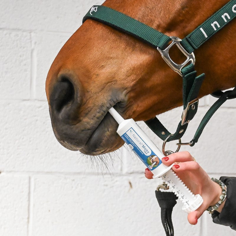 Natural' Innov - Complément alimentaire liquide Natural'Moov Flash | - Ohlala