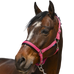 Norton - Halster 4 Lines oud roze | - Ohlala