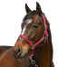 Norton - Grooming Halster bordeaux | - Ohlala