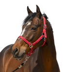Norton - Licol Grooming rouge | - Ohlala