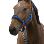 Norton - Halster en brede Leidtouw blauw | - Ohlala