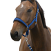Norton - Halster en brede Leidtouw blauw | - Ohlala