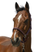 Norton - Halster Zari bordeaux | - Ohlala