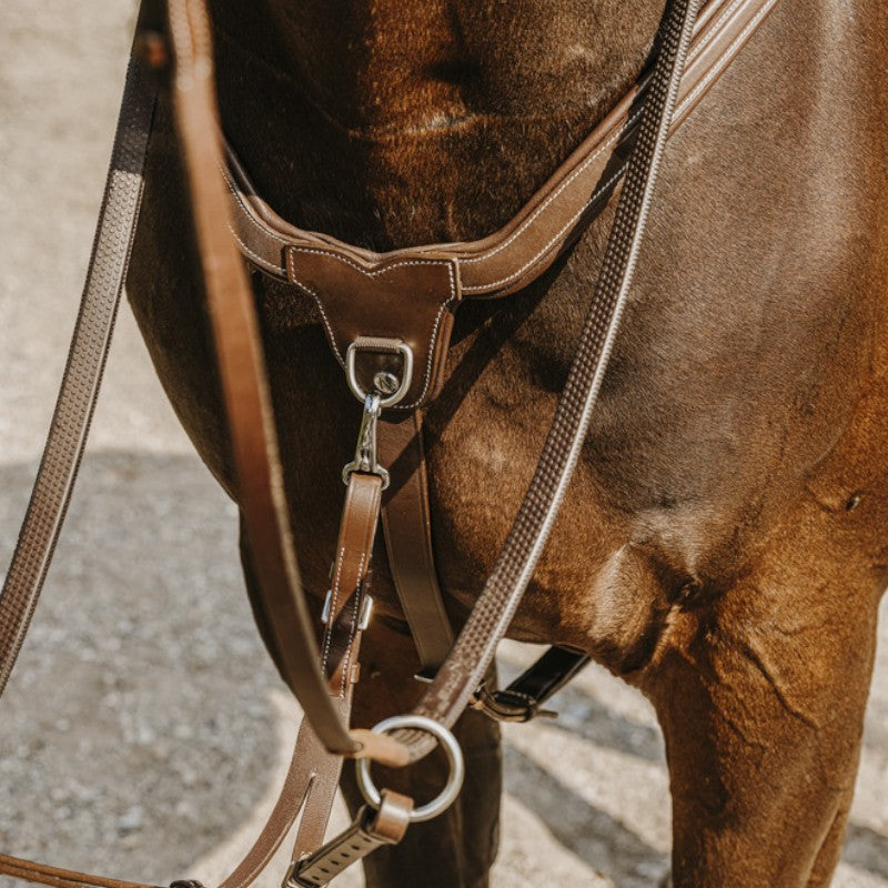 Norton - Collier de chasse 5 points havane