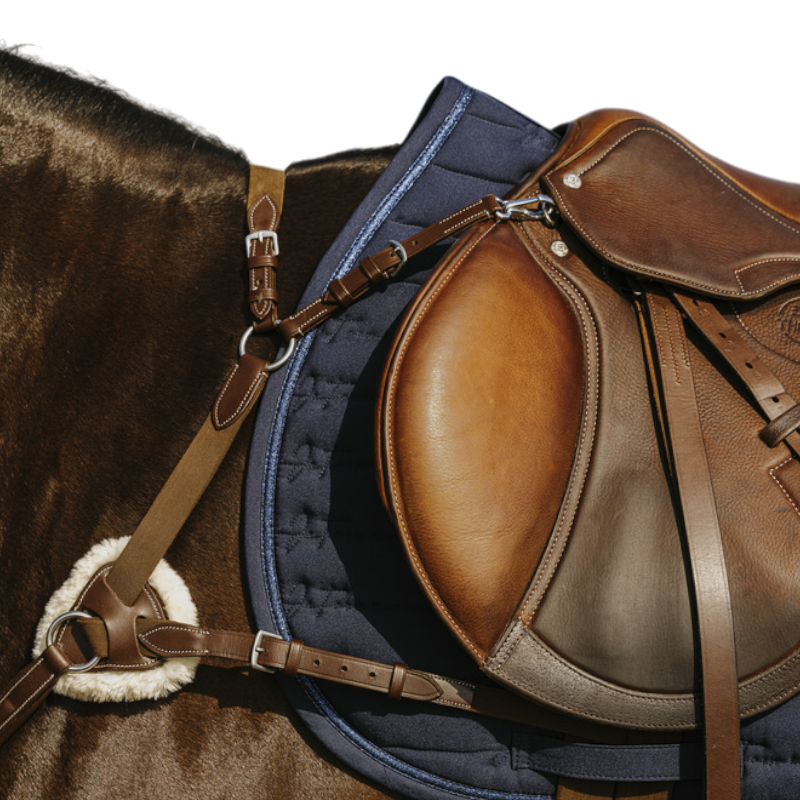 Norton - Collier de chasse 5 points havane