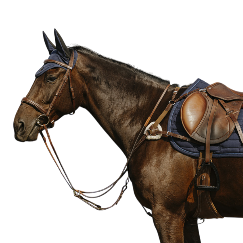 Norton - Collier de chasse 5 points havane
