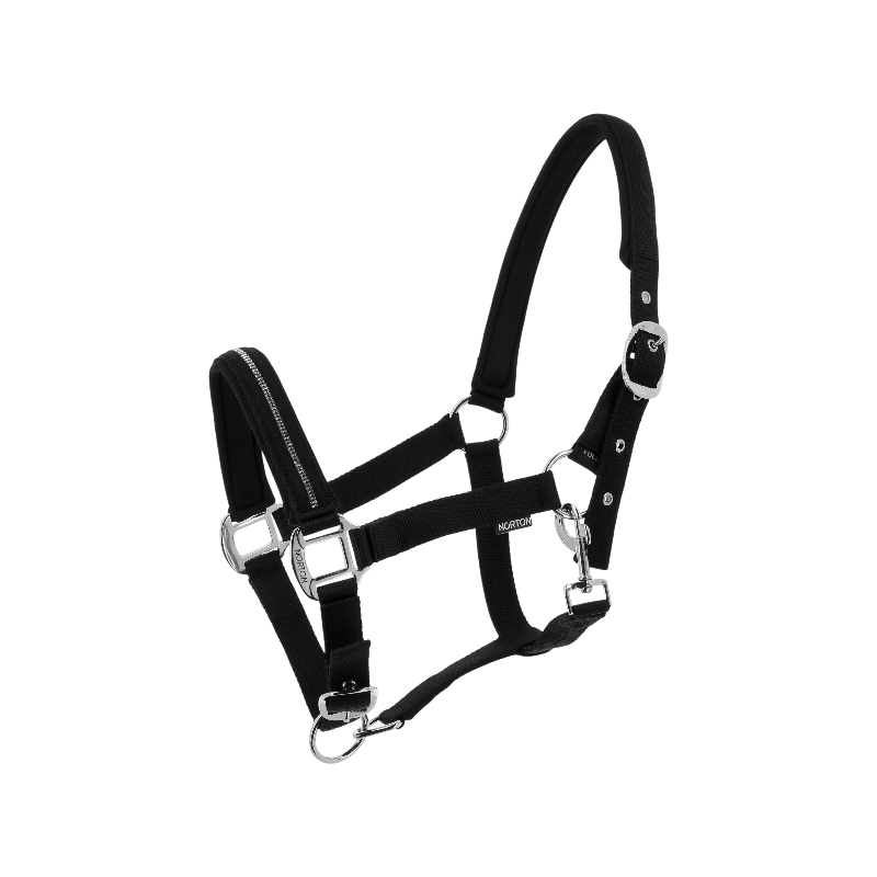 Norton - Licol Crystal noir