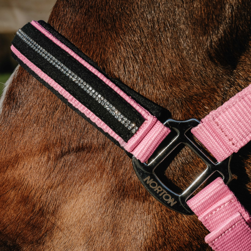 Norton - Crystal halster roze
