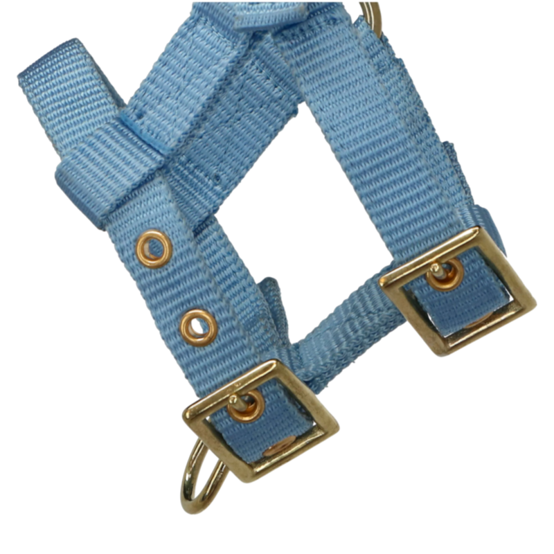 Norton - Licol réglable mini bleu ciel