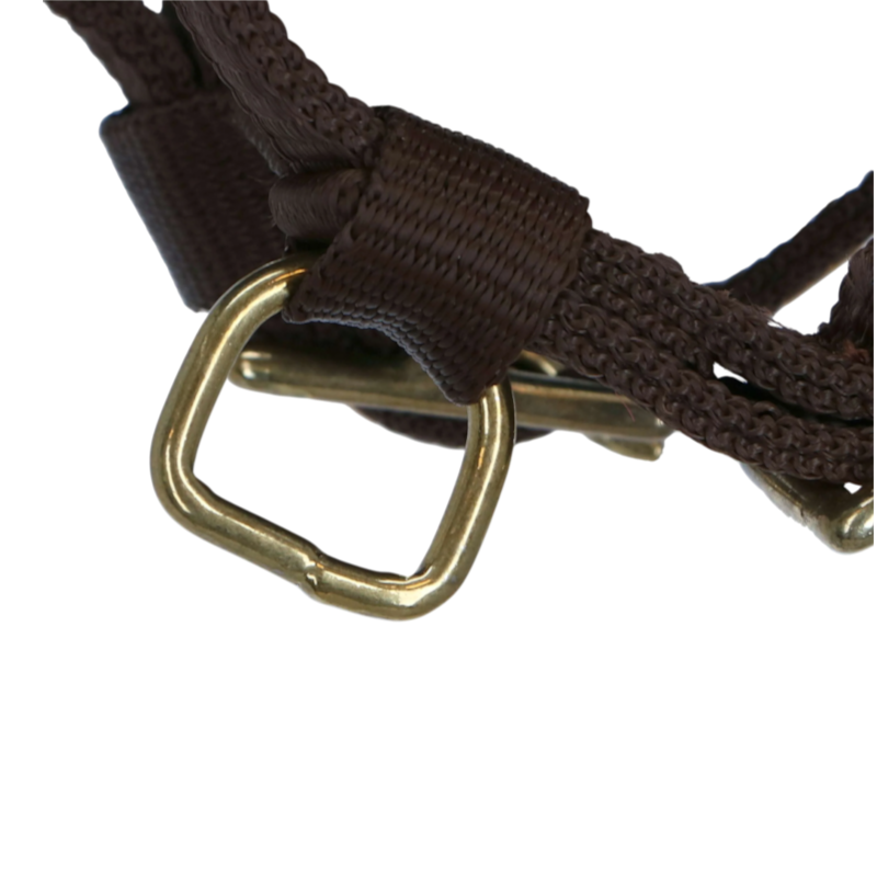 Norton - Licol réglable mini brun
