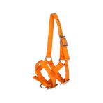 Norton - Licol réglable mini orange