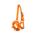 Norton - Licol réglable mini orange