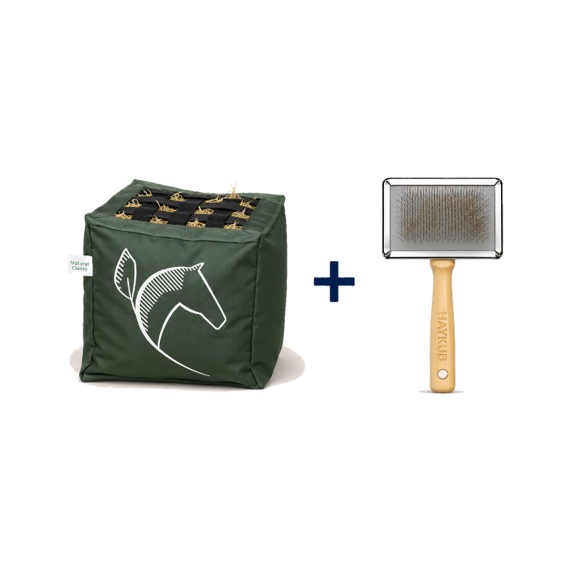 Natural' Innov - Pack Natural'Kub + Natural'Brush vert