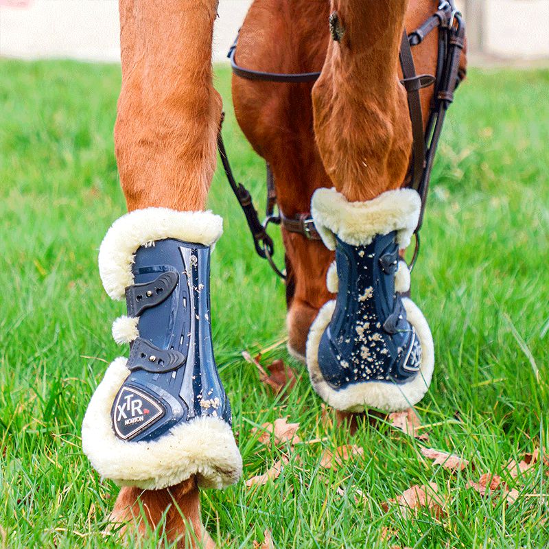 Norton - Guêtres cheval XTR à boutons mouton marine | - Ohlala