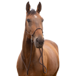 Norton - Licol éthologique avec rênes brun | - Ohlala