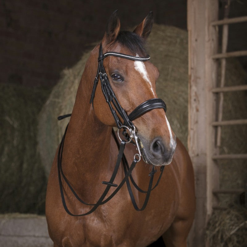 Norton - Rênes de bride 13mm noir poney | - Ohlala