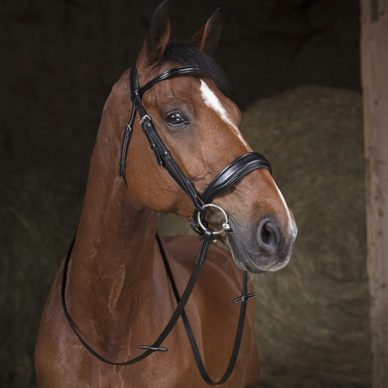 Norton - Rênes de filet 16mm noir poney | - Ohlala