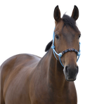 Norton - Licol ethologique pearl bleu | - Ohlala