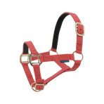 Norton - Nylon halster gevoerd met rood leer | - Ohlala