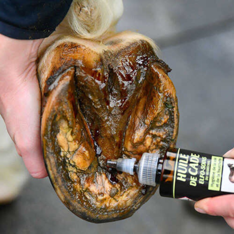 Onguent du Maréchal - Protection de la fourchette du maréchal Elfo Soins