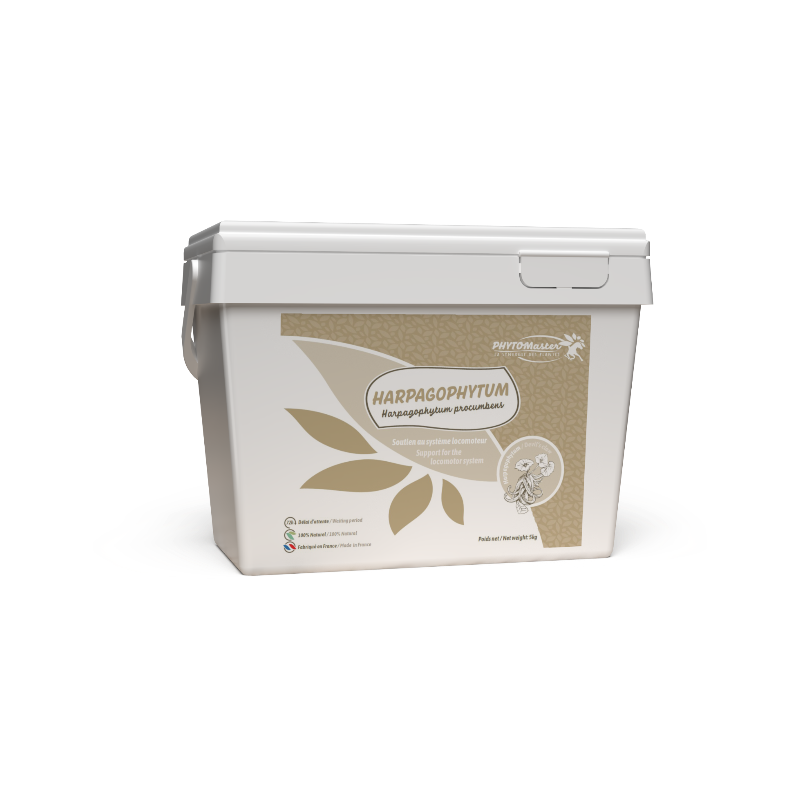 PhytoMaster - Complément alimentaire lomotion Harpaghophytum