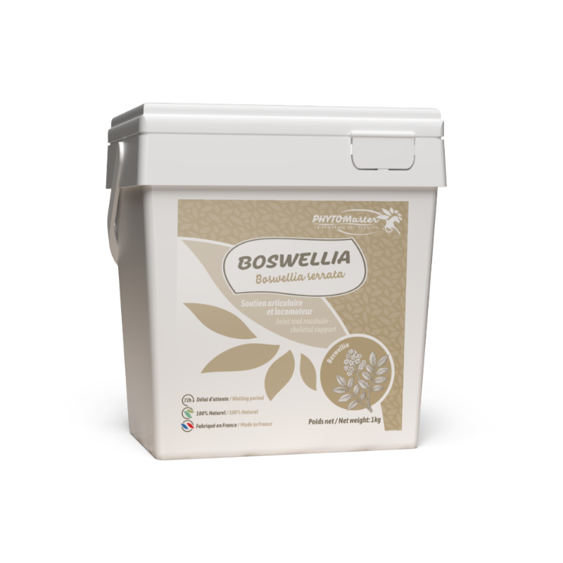 PhytoMaster - Complément alimentaire locomotion Boswellia en poudre